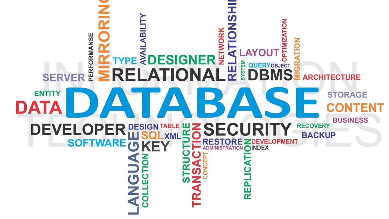 Database-Management